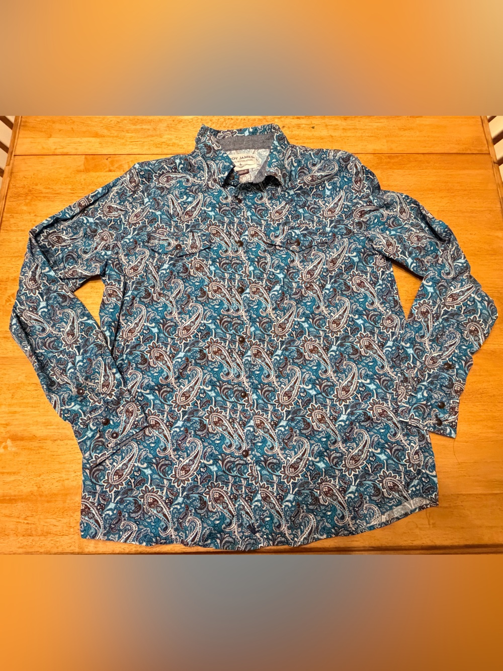 Men's Teal Paisley Long-Sleeve Button-Down Shirt - Casual